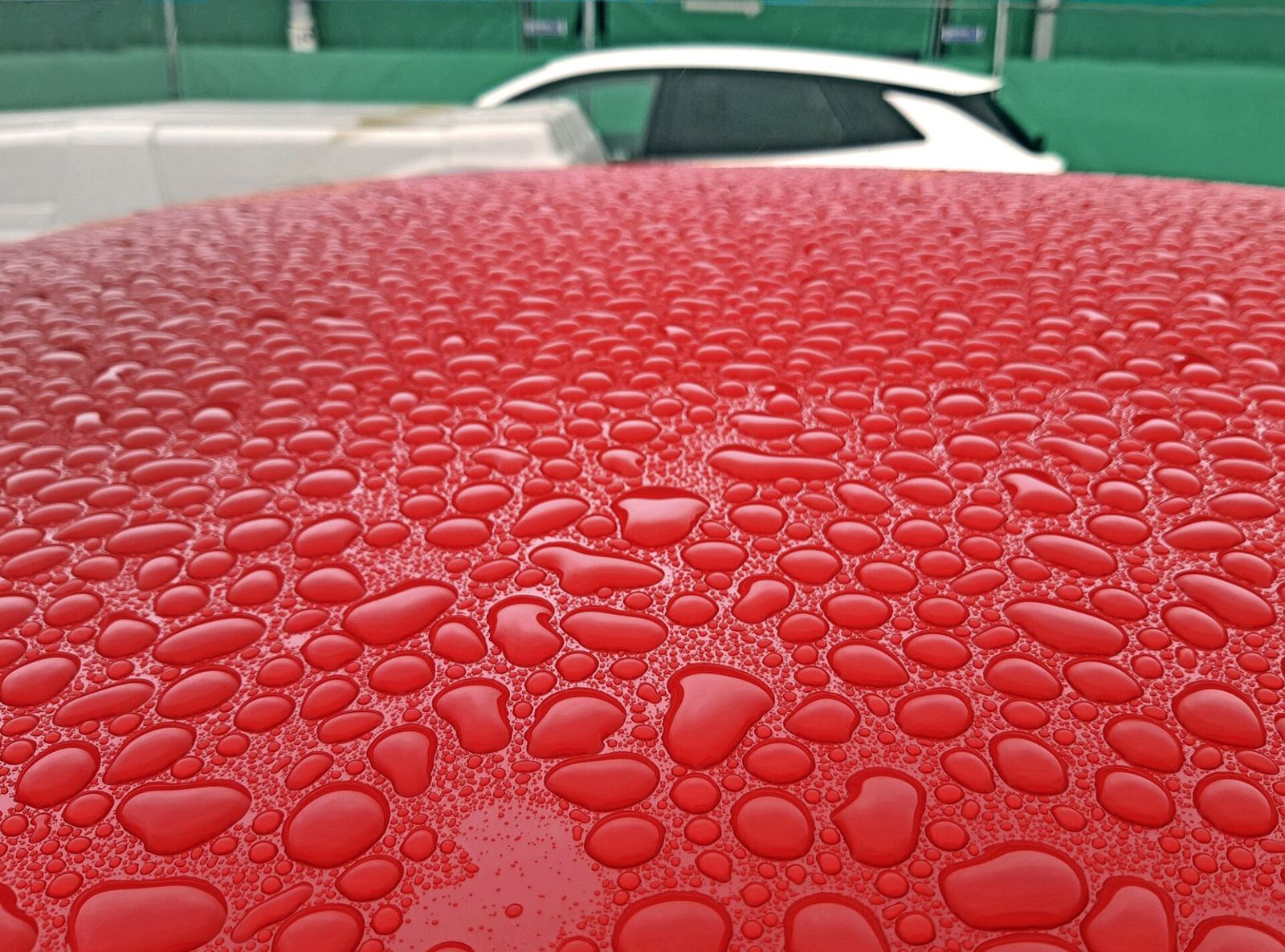 Grote waterdruppels parelen op een glanzend rood autodak